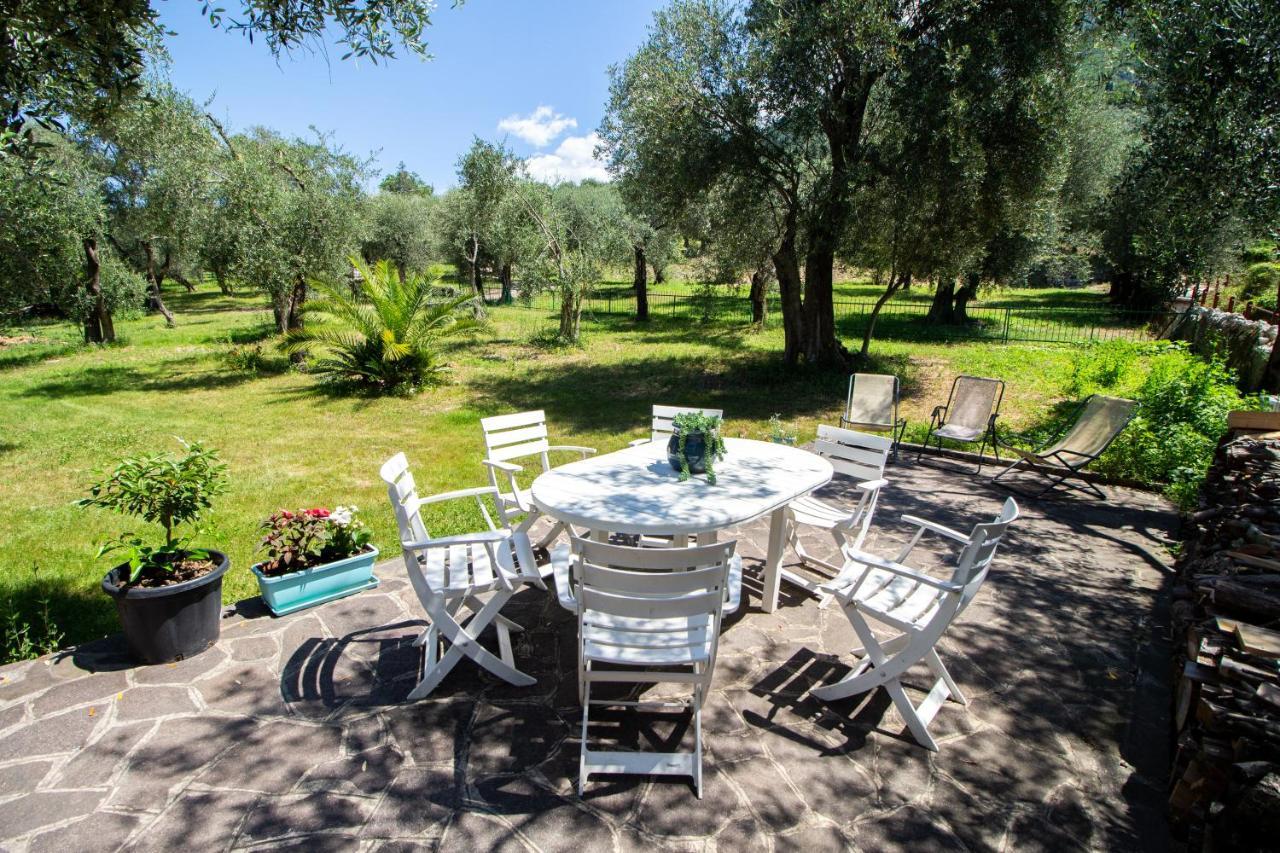 Villa Diana - Terrazza Sul Lago Assenza di Brenzone Ngoại thất bức ảnh